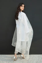 Load image into Gallery viewer, BD - EMBROIDERED ORGANZA DUPATTA-31
