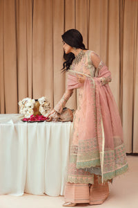F - NAZNEEN