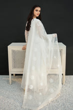 Load image into Gallery viewer, BD - EMBROIDERED ORGANZA DUPATTA-29