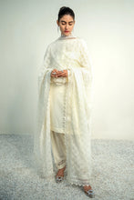 Load image into Gallery viewer, BD - EMBROIDERED CHIFFON DUPATTA-02