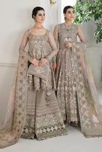 Load image into Gallery viewer, B - EMBROIDERED NET CH10-08 (PESHWAS STYLE)