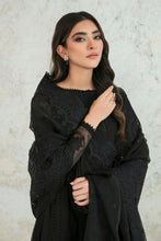 Load image into Gallery viewer, BD - EMBROIDERED ORGANZA DUPATTA-44