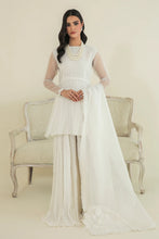 Load image into Gallery viewer, BD - EMBROIDERED ORGANZA DUPATTA-37