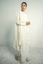 Load image into Gallery viewer, BD - EMBROIDERED CHIFFON DUPATTA-02