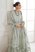 Load image into Gallery viewer, B - EMBROIDERED NET CH10-05 (GOWN STYLE)