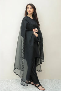 BD - ORGANZA DUPATTA-24