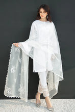 Load image into Gallery viewer, BD - EMBROIDERED ORGANZA DUPATTA-31