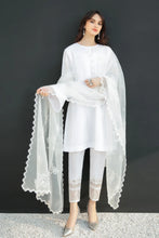 Load image into Gallery viewer, BD - EMBROIDERED ORGANZA DUPATTA-31