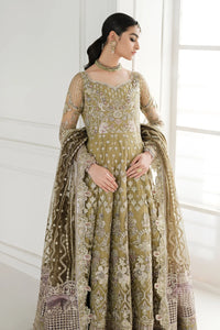 B - EMBROIDERED NET CH10-02 (PESHWAS STYLE)
