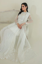 Load image into Gallery viewer, BD - EMBROIDERED ORGANZA DUPATTA-37