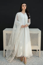 Load image into Gallery viewer, BD - EMBROIDERED ORGANZA DUPATTA-29