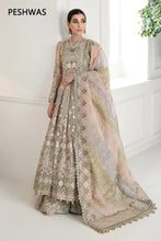 Load image into Gallery viewer, B - EMBROIDERED NET CH10-08 (PESHWAS STYLE)