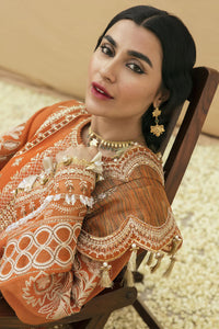 AF - AMIRA