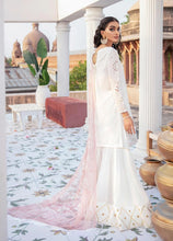 Load image into Gallery viewer, IZ - TEHZIB 06