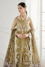 Load image into Gallery viewer, B - EMBROIDERED NET CH10-02 (GOWN STYLE)