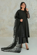 Load image into Gallery viewer, BD - EMBROIDERED ORGANZA DUPATTA-44