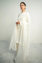 Load image into Gallery viewer, BD - EMBROIDERED CHIFFON DUPATTA-04