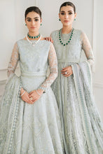 Load image into Gallery viewer, B - EMBROIDERED NET CH10-05 (LEHNGA STYLE)