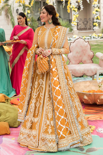 AF - GULBADAN