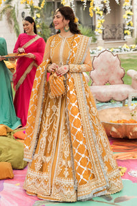 AF - GULBADAN