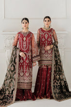 Load image into Gallery viewer, B - EMBROIDERED NET CH10-07 (SHORT STYLE)