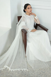 BD - CHIFFON DUPATTA-16