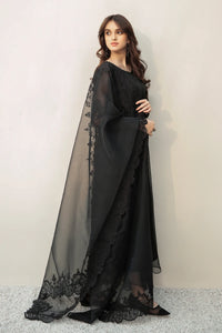 BD - EMBROIDERED ORGANZA DUPATTA-26