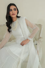 Load image into Gallery viewer, BD - EMBROIDERED ORGANZA DUPATTA-37
