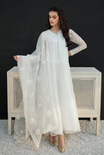 Load image into Gallery viewer, BD - EMBROIDERED ORGANZA DUPATTA-29
