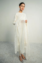 Load image into Gallery viewer, BD - EMBROIDERED CHIFFON DUPATTA-04