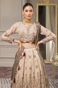 AZ - AAINA (LEHENGA STYLE)