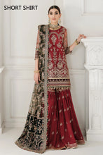 Load image into Gallery viewer, B - EMBROIDERED NET CH10-07 (SHORT STYLE)