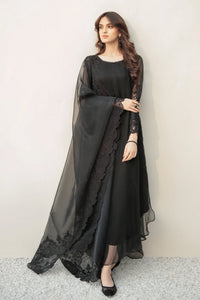 BD - EMBROIDERED ORGANZA DUPATTA-26