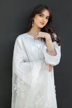 Load image into Gallery viewer, BD - EMBROIDERED ORGANZA DUPATTA-31