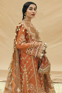 AF - AMIRA